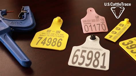 canadian cattle tags